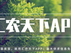 誰(shuí)說北方地區(qū)不能發(fā)展珍貴樹種？強(qiáng)烈推薦這18個(gè)樹種！
